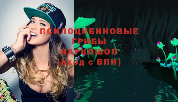 дмт Алексеевка