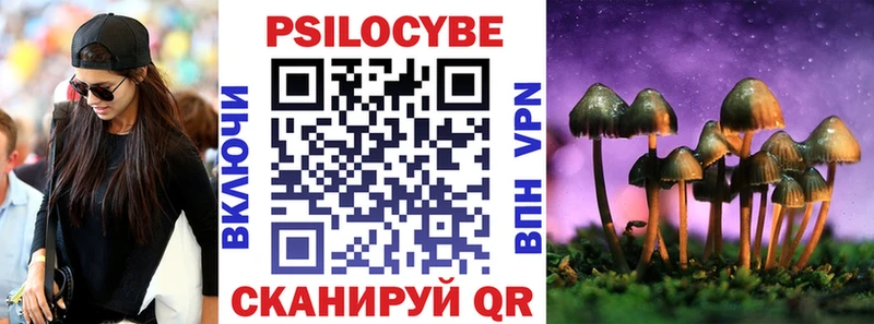 Псилоцибиновые грибы Psilocybe  ссылка на мегу зеркало  Фролово  закладка 