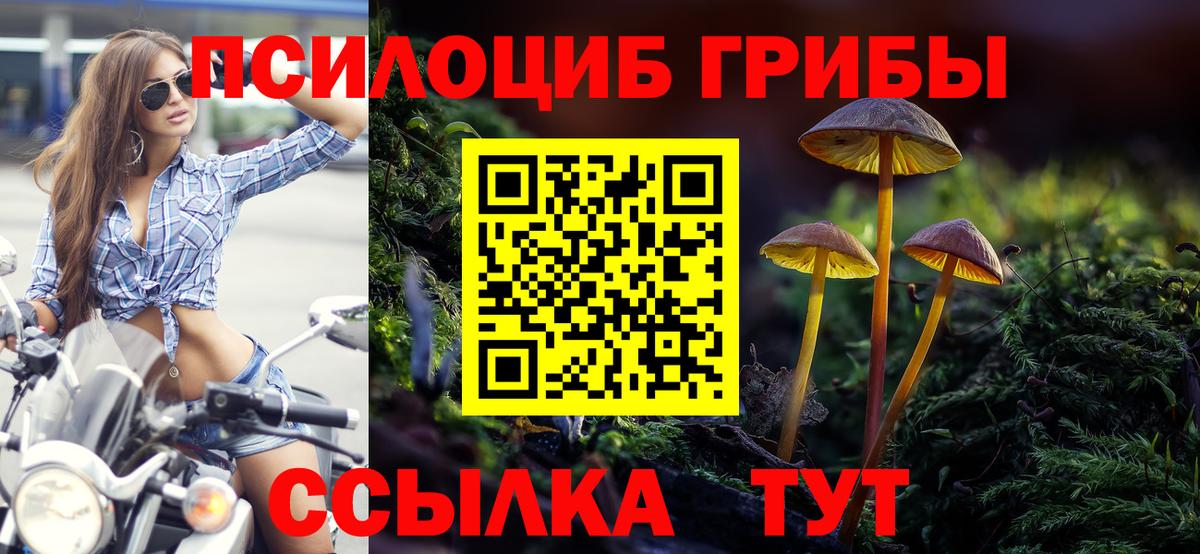 Галлюциногенные грибы Magic Shrooms Фролово