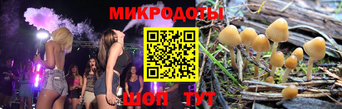 Галлюциногенные грибы мухоморы  Псилоцибиновые грибы Psilocybine cubensis  Фролово  Вход с VPN 